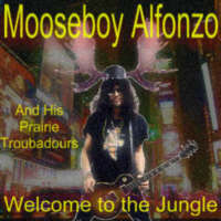 Welcome to the Jungle